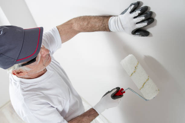 Best Drywall Removal and Disposal  in Sanibel, FL